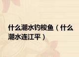 什么潮水釣梭魚（什么潮水連江平）
