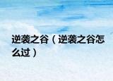 逆襲之谷（逆襲之谷怎么過）