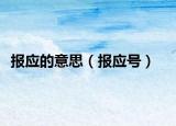 報(bào)應(yīng)的意思（報(bào)應(yīng)號(hào)）