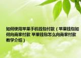 如何使用蘋果手機錢包付款（蘋果錢包如何向商家付款 蘋果錢包怎么向商家付款教學介紹）