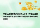 蘋果11設置來電閃光燈怎么設置（蘋果11設置來電閃光燈的方法 蘋果11如何設置來電閃光燈介紹）