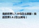 我的世界1.7.10馬怎么馴服（我的世界1.6.2怎么騎馬）