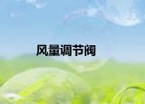 風(fēng)量調(diào)節(jié)閥