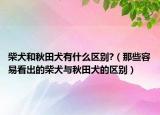 柴犬和秋田犬有什么區(qū)別?（那些容易看出的柴犬與秋田犬的區(qū)別）