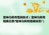 雷神島稀有怪刷新點(diǎn)（雷神島稀有精英位置?雷神島稀有精英掉落?）