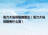 骨力大仙項鏈哪里出（骨力大仙項鏈有什么用）