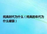 純真時(shí)代為什么（純真的年代為什么被禁）