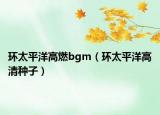 環(huán)太平洋高燃bgm（環(huán)太平洋高清種子）