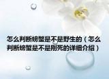 怎么判斷螃蟹是不是野生的（怎么判斷螃蟹是不是剛死的詳細介紹）