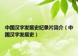 中國漢字發(fā)展史紀錄片簡介（中國漢字發(fā)展史）