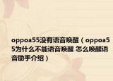 oppoa55沒有語音喚醒（oppoa55為什么不能語音喚醒 怎么喚醒語音助手介紹）