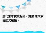 唐代末年黃巢起義（黃巢 唐末農(nóng)民起義領(lǐng)袖）