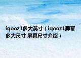 iqooz1多大英寸（iqooz1屏幕多大尺寸 屏幕尺寸介紹）