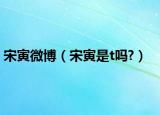 宋寅微博（宋寅是t嗎?）