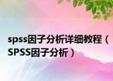 spss因子分析詳細(xì)教程（SPSS因子分析）
