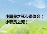 小職員之死心得體會(huì)（小職員之死）