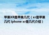 蘋果XR是蘋果幾代（xr是蘋果幾代 iphone xr是幾代介紹）