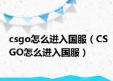 csgo怎么進入國服（CSGO怎么進入國服）