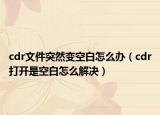 cdr文件突然變空白怎么辦（cdr打開是空白怎么解決）