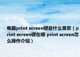 電腦print screen鍵是什么意思（print screen鍵在哪 print screen怎么操作介紹）