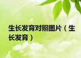 生長發(fā)育對照圖片（生長發(fā)育）