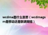 wcdma是什么意思（wcdmagsm是移動(dòng)還是聯(lián)通網(wǎng)絡(luò)）