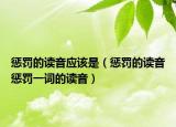 懲罰的讀音應(yīng)該是（懲罰的讀音懲罰一詞的讀音）