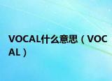 VOCAL什么意思（VOCAL）