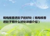 楊梅核吞進(jìn)肚子的好處（楊梅核吞進(jìn)肚子有什么好處詳細(xì)介紹）