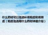 什么藥材可以泡酒補(bǔ)腎陽(yáng)虛和腎陰虛（陽(yáng)虛泡酒用什么藥材詳細(xì)介紹）