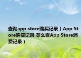 查詢app store購買記錄（App Store購買記錄 怎么查App Store消費(fèi)記錄）