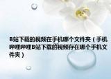 B站下載的視頻在手機哪個文件夾（手機嗶哩嗶哩B站下載的視頻存在哪個手機文件夾）