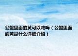 公蟹里面的黃可以吃嗎（公蟹里面的黃是什么詳細介紹）