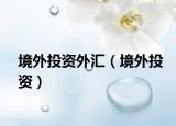 境外投資外匯（境外投資）