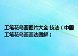 工筆花鳥畫圖片大全 技法（中國工筆花鳥畫畫法圖解）