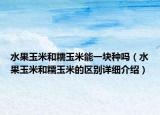 水果玉米和糯玉米能一塊種嗎（水果玉米和糯玉米的區(qū)別詳細(xì)介紹）