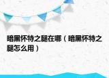 暗黑懷特之腿在哪（暗黑懷特之腿怎么用）