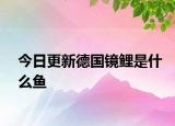 今日更新德國(guó)鏡鯉是什么魚(yú)