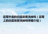 藍(lán)莓外面的白霜需要洗掉嗎（藍(lán)莓上的白霜需要洗掉嗎詳細(xì)介紹）