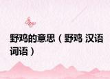 野雞的意思（野雞 漢語(yǔ)詞語(yǔ)）