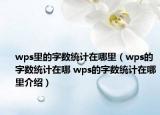 wps里的字?jǐn)?shù)統(tǒng)計在哪里（wps的字?jǐn)?shù)統(tǒng)計在哪 wps的字?jǐn)?shù)統(tǒng)計在哪里介紹）