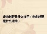 定向越野是什么樣子（定向越野是什么運動）