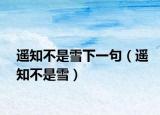 遙知不是雪下一句（遙知不是雪）