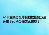 sd卡受損怎么修復數(shù)據(jù)恢復方法分享（sd卡受損怎么修復）
