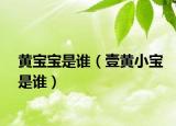黃寶寶是誰（壹黃小寶是誰）