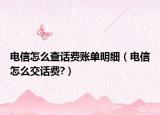 電信怎么查話費(fèi)賬單明細(xì)（電信怎么交話費(fèi)?）