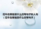 花牛在草地里什么仿寫句子擬人句（花牛在草地里什么仿寫句子）