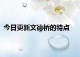今日更新文德橋的特點(diǎn)