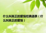 什么叫真正的愛(ài)情經(jīng)典語(yǔ)錄（什么叫真正的愛(ài)情）