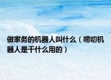做家務(wù)的機器人叫什么（嘮叨機器人是干什么用的）